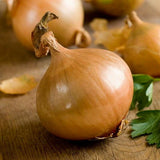 500 Texas Early Grano Onion Seeds