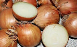 500 Texas Early Grano Onion Seeds