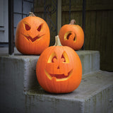 75 Pumpkin Seeds - Jack O Lantern
