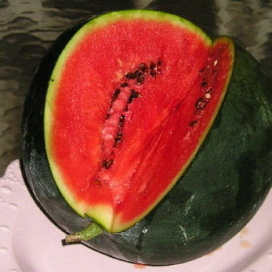 100 Sugar Baby Heirloom Watermelon Seeds