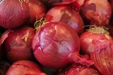 500 Red Burgundy Onion Seeds Allium Cepa Heirloom