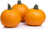 75 Pumpkin Seeds - Sugar Pie