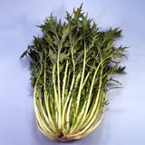 500 GREEN MIZUNA Seeds Mustard Japanese Greens Brassica Juncea