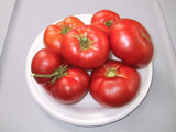 200 Ponderosa Red Tomato Seeds Organic Heirloom - Slicing- indeterminate
