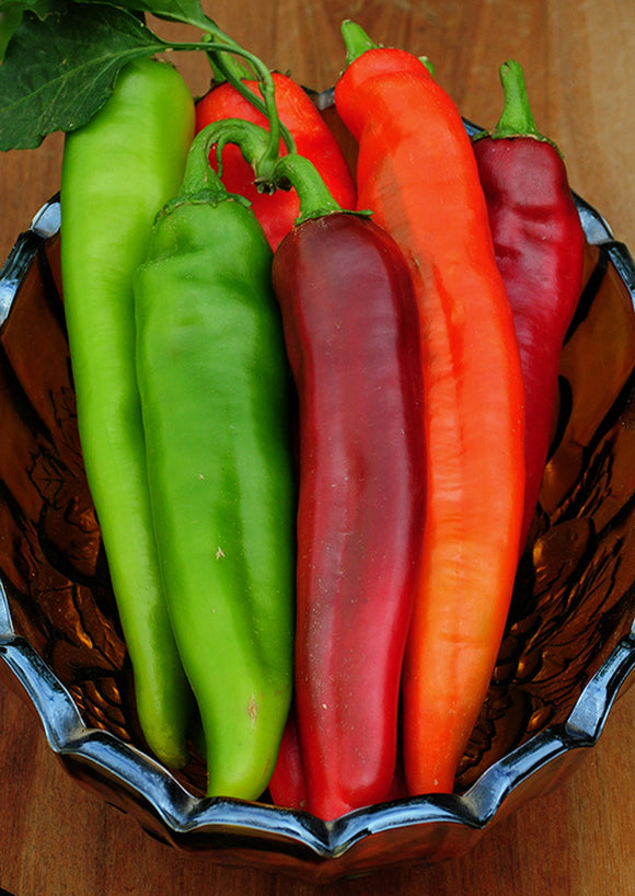 100 Big Jim Hot Pepper Seeds - NON-GMO - Always Fresh Seeds!