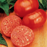 200 Ponderosa Red Tomato Seeds Organic Heirloom - Slicing- indeterminate