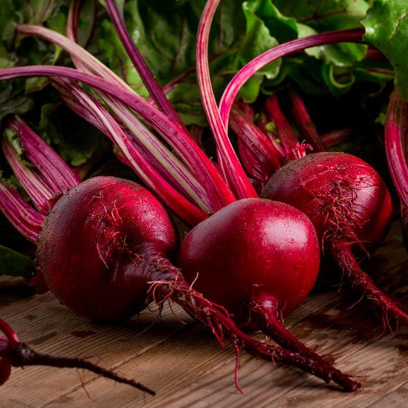 500 Ruby Queen Beet Seeds Beta Vulgaris, Premium Non-GMO, Open Pollinated