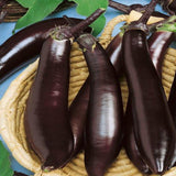 250 Eggplant Seeds - Talong Purple No.1 Heirloom, Philippines Most Used Eggplant