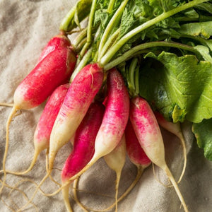 500 Hong Vit Radish Seeds - Asian Heirloom - Premium Non-GMO, Open Pollinated