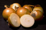 500 Yellow Sweet Spanish Onion Seeds