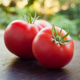 200 Heirloom Marglobe Tomato Seeds