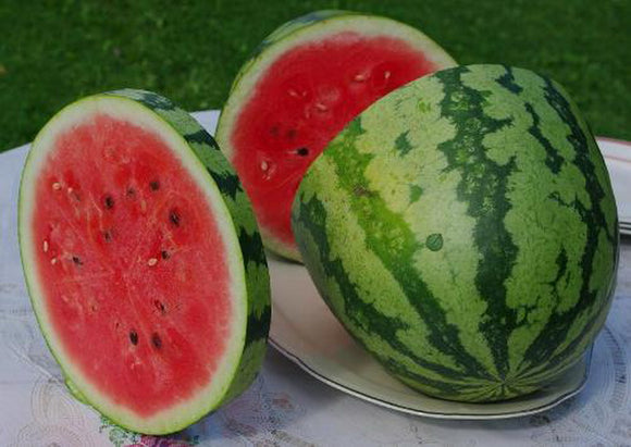 planting jubilee watermelon seeds 40 Jubilee Watermelon Seeds Heirloom – The Gardening World