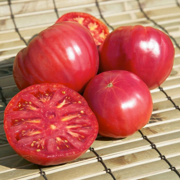 Pink Brandywine Tomato Seeds : : Garden