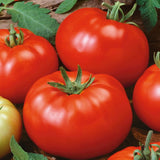200 Red Brandywine Tomato Seeds Heirloom