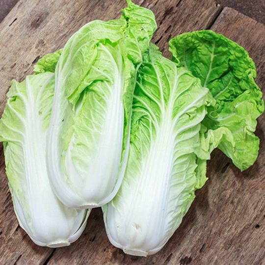 500 Napa Nampa Michihli Cabbage Seeds – The Gardening World
