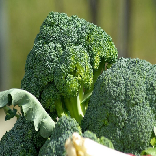 1oz Organic Broccoli 