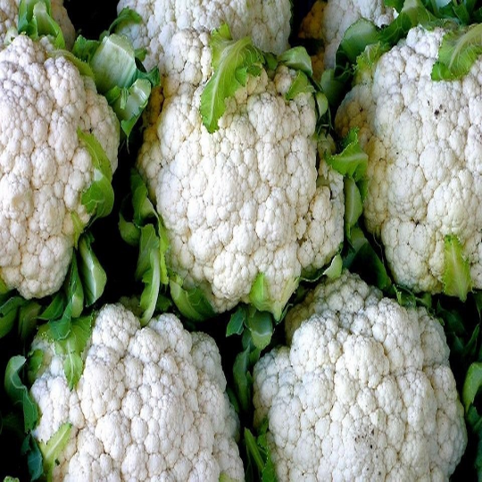 250 Snowball Y Improved Cauliflower Seeds